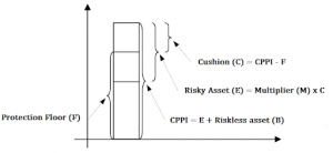 intro to CPPI